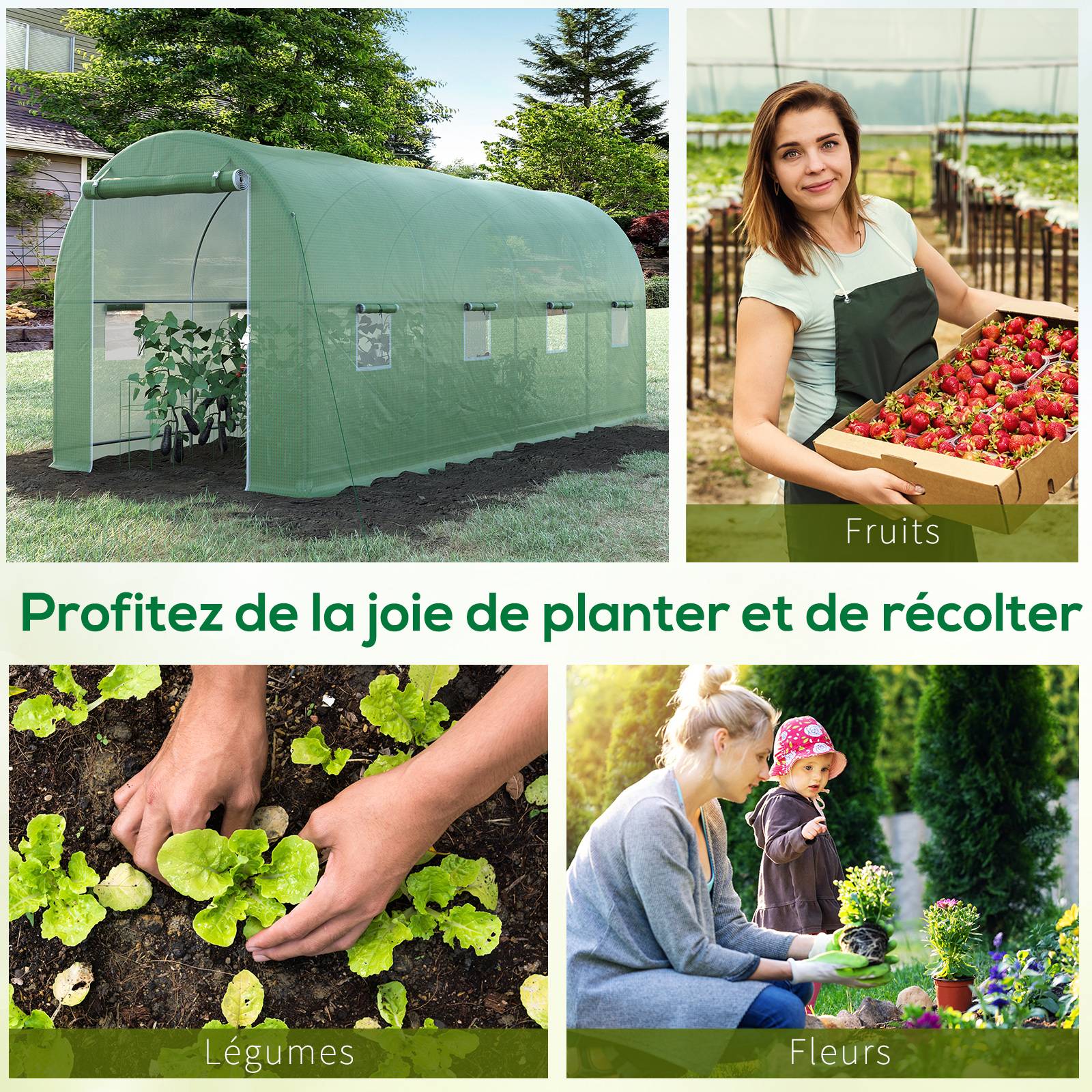 ComfortXL - Serre tunnel acier PE pour plantations rendement optimal 500x200cm Vert - ComfortXL Outdoor Living - Image 9