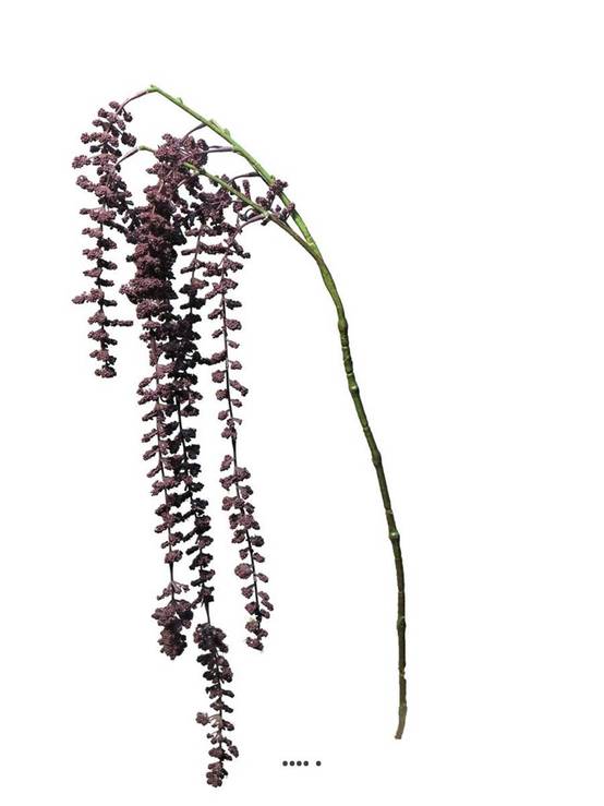 Amarante artificielle retombante, L 105 cm Aubergine - BEST - couleur: Aubergine - Image 2