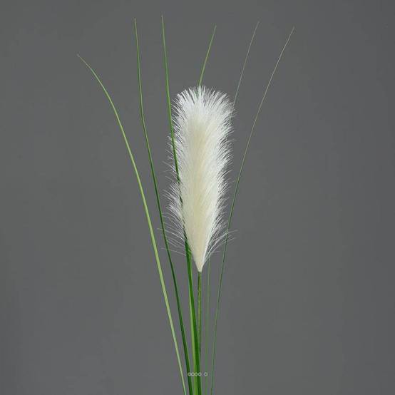 Herbe de la Pampa artificielle H 97 cm superbe plumeau Crème - couleur: Crème