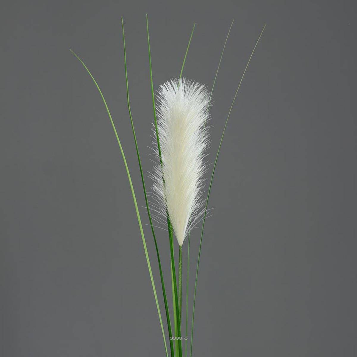 Herbe de la Pampa artificielle H 97 cm superbe plumeau Crème - couleur: Crème