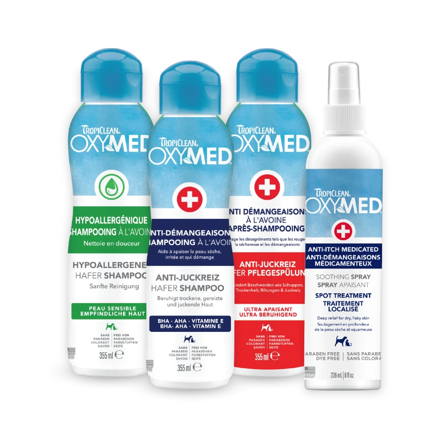 Après-shampoing antidémangeaison - Oxymed - Image 4