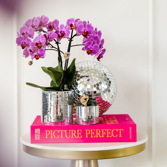 Cache-pot céramique effet miroir - éclat disco glamour - Pot de 9cm - Image 4