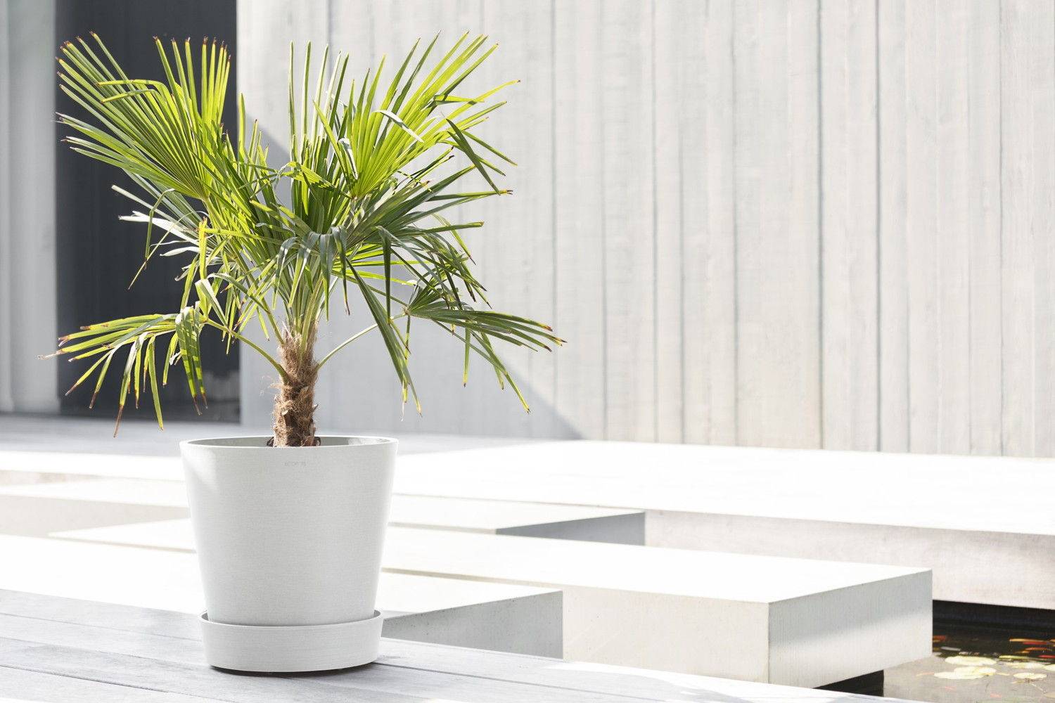 Ecopots - Support à roulettes Wheels 40 Blanc Pur - Ø 34,1 x H. 9 cm ECOPOTS - Imagen 2