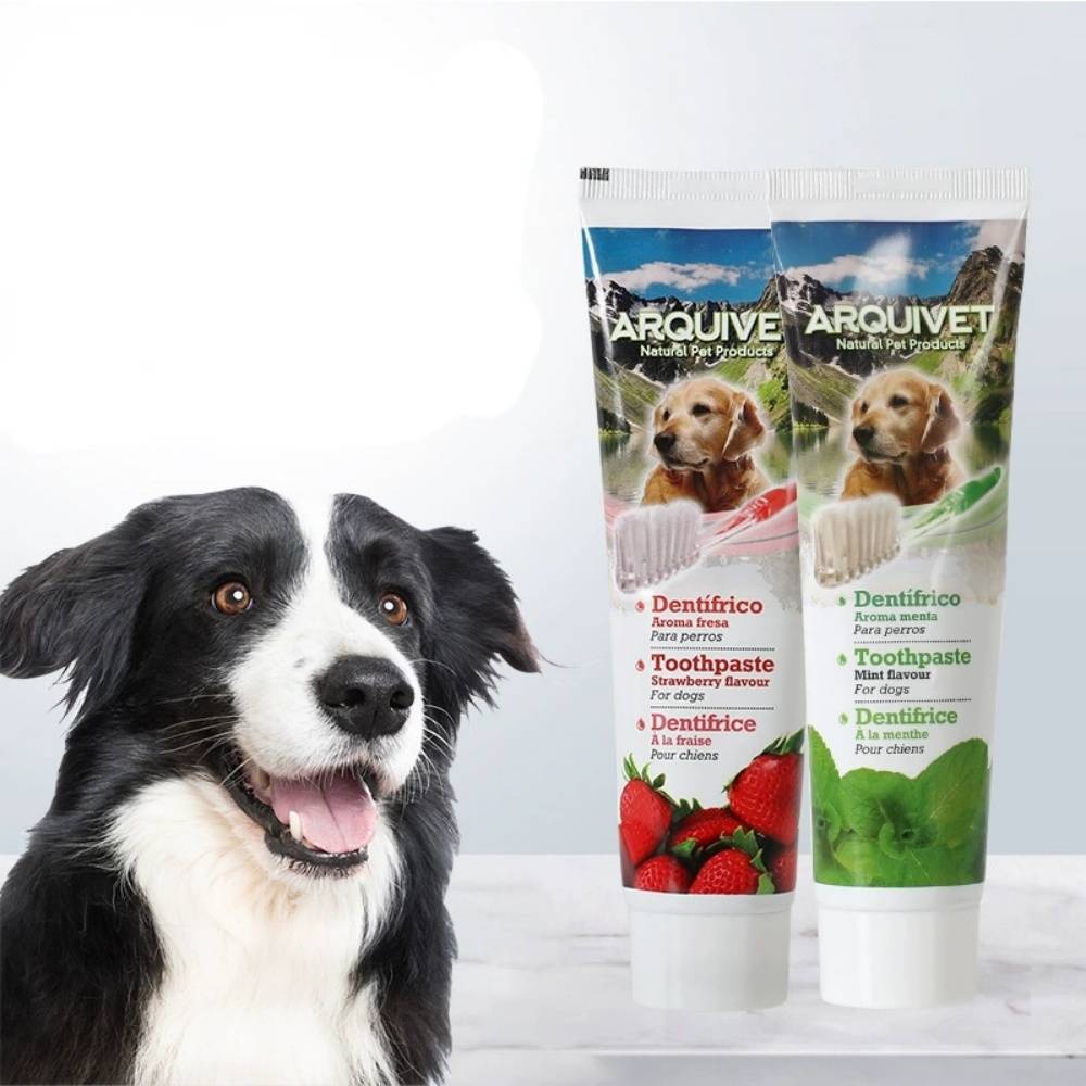 IntiMeg - Ensemble de brosses à dents pour chien Saveur fraise IntiMeg - Image 1