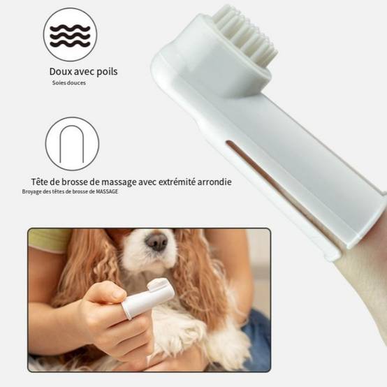 IntiMeg - Ensemble de brosses à dents pour chien Saveur fraise IntiMeg - Image 5