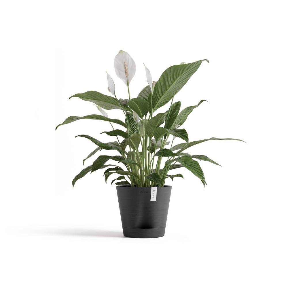 Ecopots - Pot Rond Venice 2 Gris Foncé + réservoir d'eau - Ø 20 x H. 17,5 cm - 4 L ECOPOTS