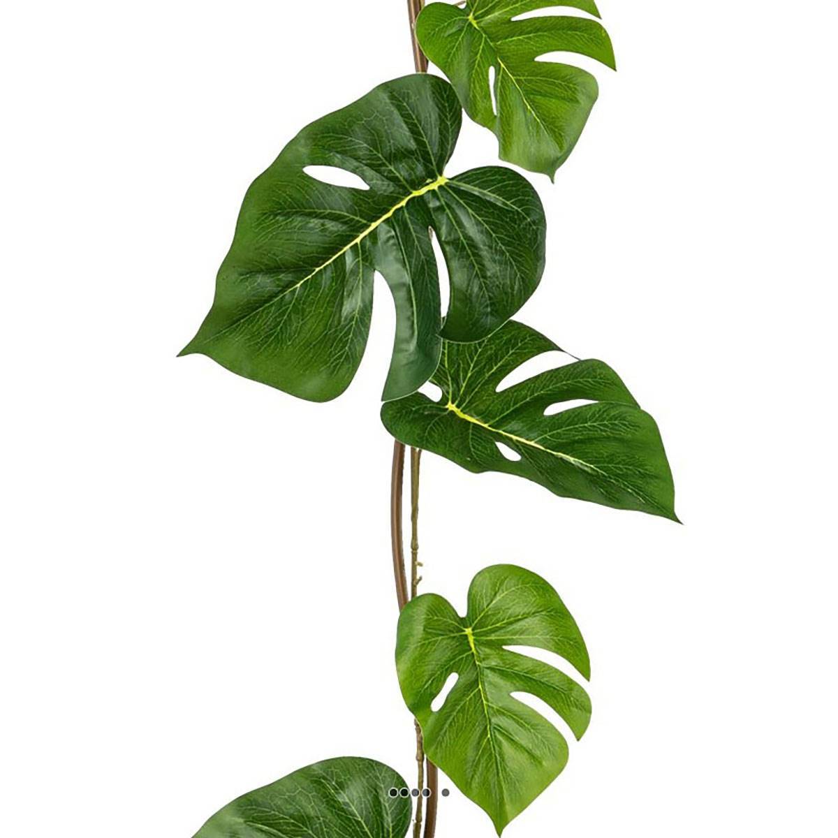 Artificielles - Guirlande de feuilles de philodendron artificielles L 185 cm - Imagen 3