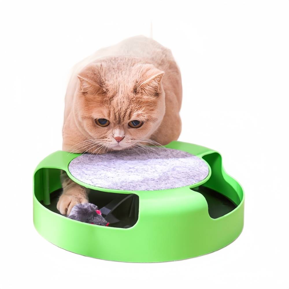 Jouet interactif pour chat - Souris rotative + 4 spirales - Stimulation sans piles - Living123