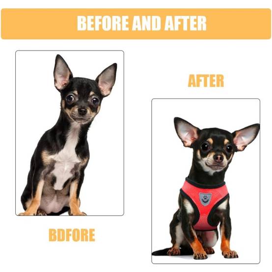 Harnais Léger pour Chihuahua et Petit Chien DtopbuyAge - Image 5