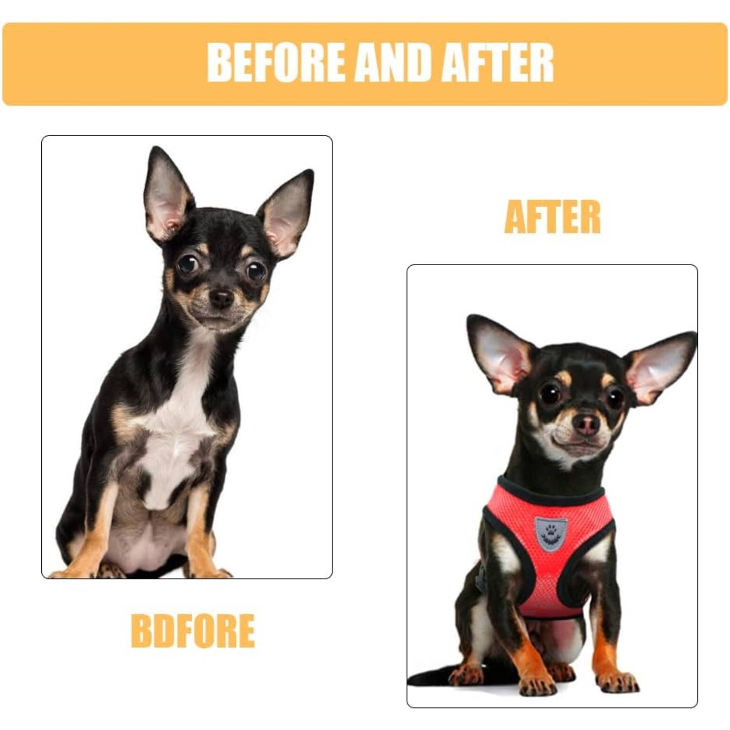 Harnais Léger pour Chihuahua et Petit Chien DtopbuyAge - Image 5