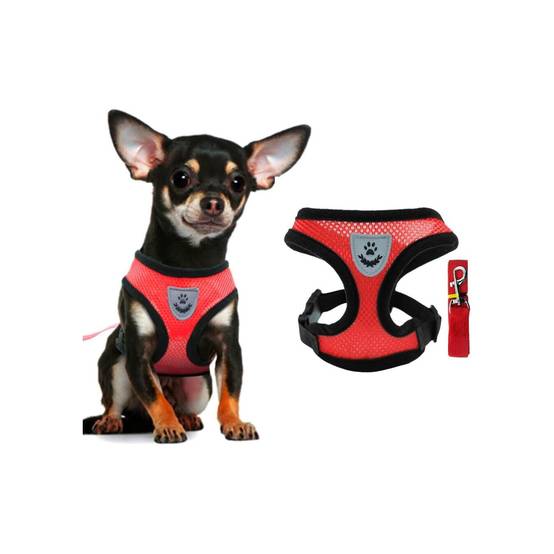 Harnais Léger pour Chihuahua et Petit Chien DtopbuyAge - Image 1