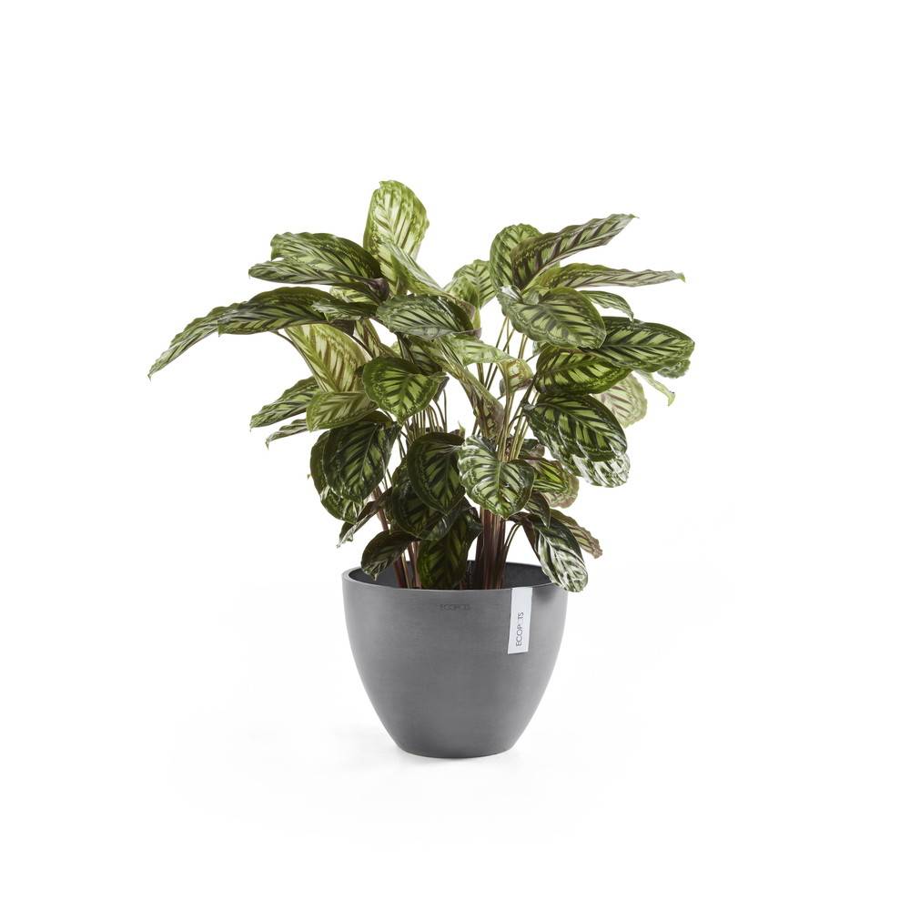 Ecopots - Pot Rond Antwerp 50 New Gris - Ø 50 x H. 37,5 cm - 52 L ECOPOTS - Imagen 1