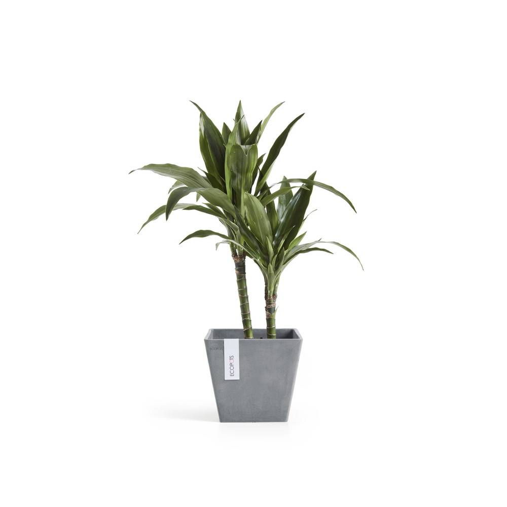 Ecopots - Pot Carré Rotterdam 20 Bleu Gris - 20 x 20 x H. 17,5 cm - 5,2 L ECOPOTS - Imagen 3