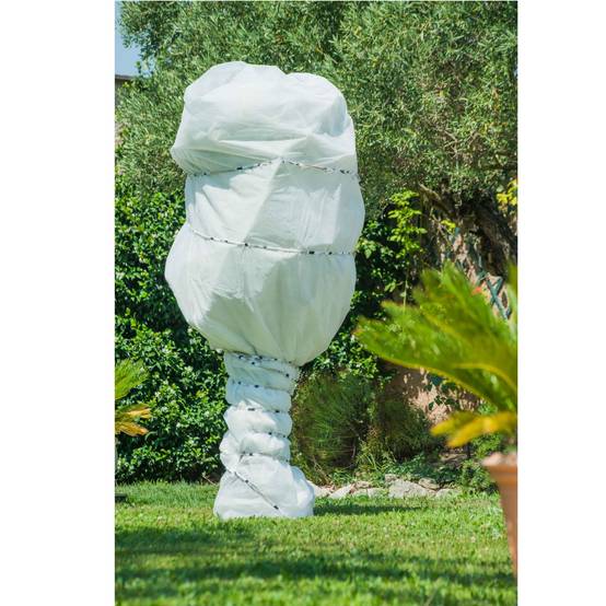 WERKA PRO - Voile d'hivernage blanc 30g/m2 WERKA PRO - 2 x 5 m - Image 2