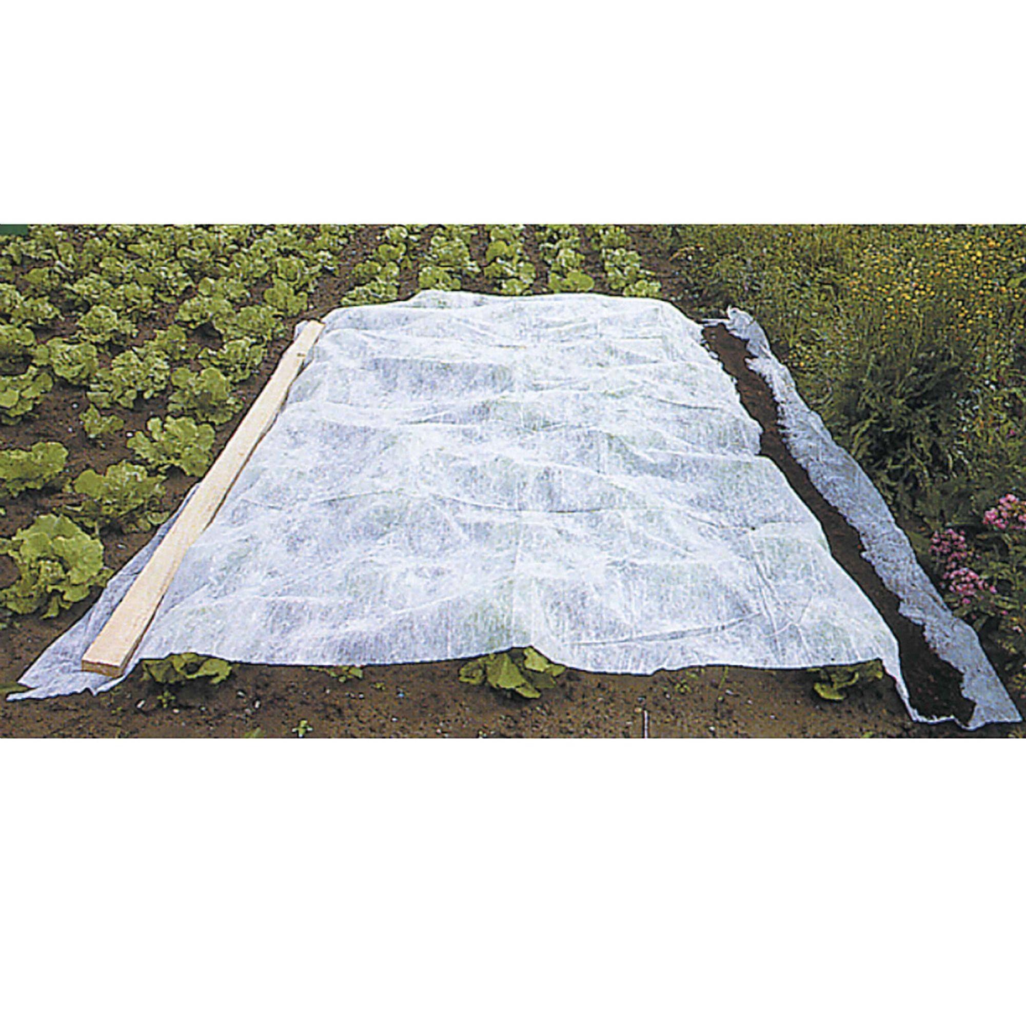 WERKA PRO - Voile d'hivernage blanc 30g/m2 WERKA PRO - 2 x 5 m - Image 1