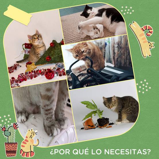 Griffoir pour Chat Design Cactus Poteau en Sisal Vert avec Balle et Jeu en Bois 60 cm - ComfortXL Outdoor Living - Image 8