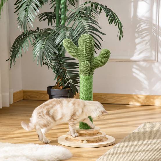 Griffoir pour Chat Design Cactus Poteau en Sisal Vert avec Balle et Jeu en Bois 60 cm - ComfortXL Outdoor Living - Image 3