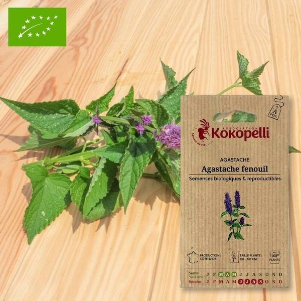Association Kokopelli - Agastache Fenouil- Graines bio à semer - Image 1