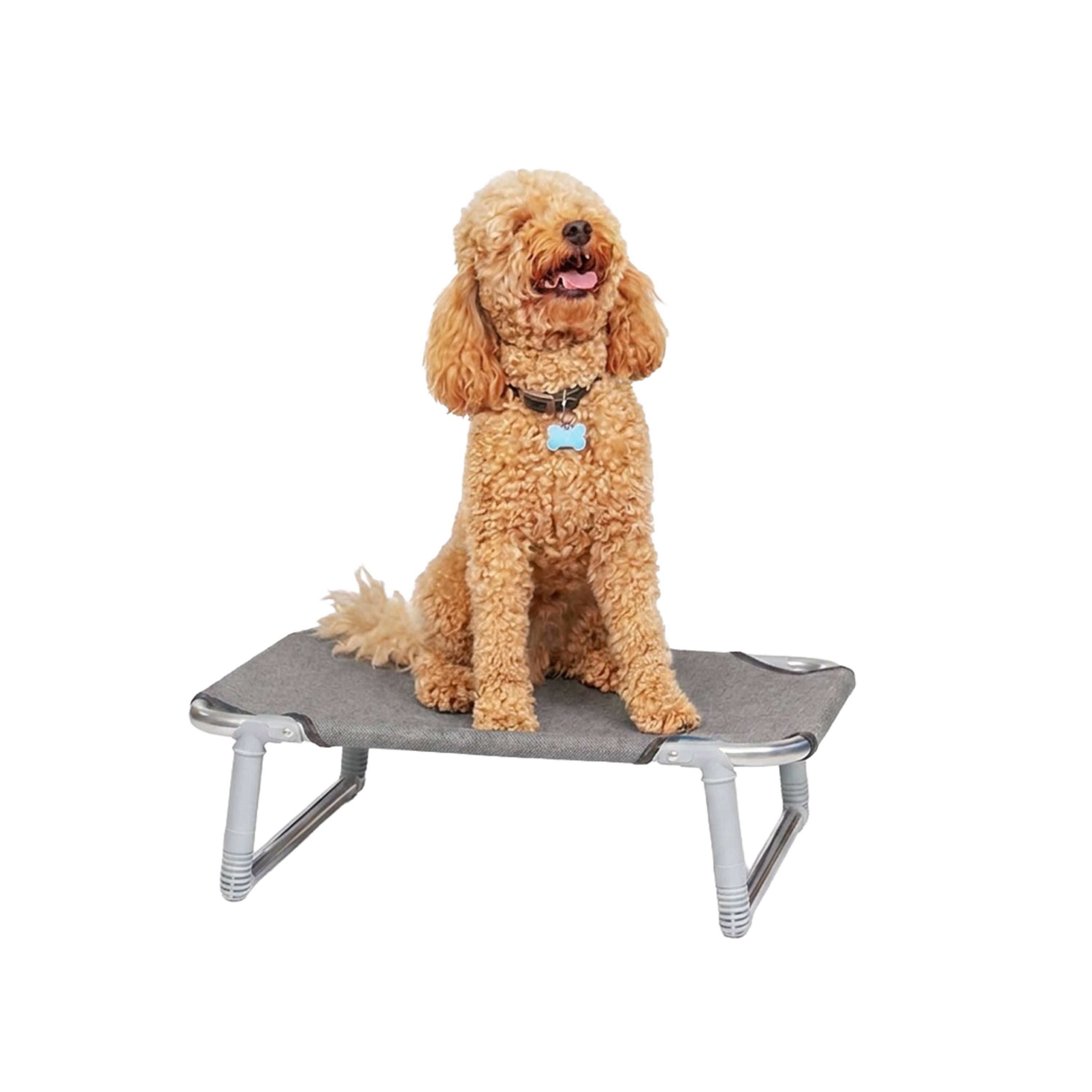 Ferplast - Lit pliant pour Chiens DREAM 60 avec Structure en Aluminium et élastiques Renforcés - Imagen 5