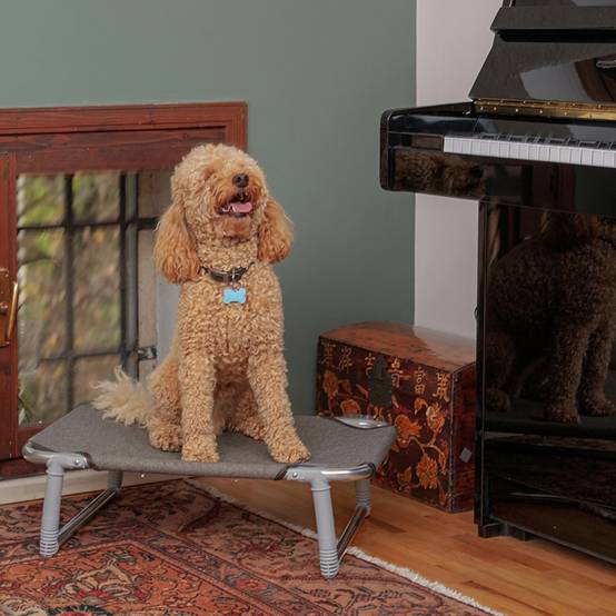 Ferplast - Lit pliant pour Chiens DREAM 60 avec Structure en Aluminium et élastiques Renforcés - Imagen 4