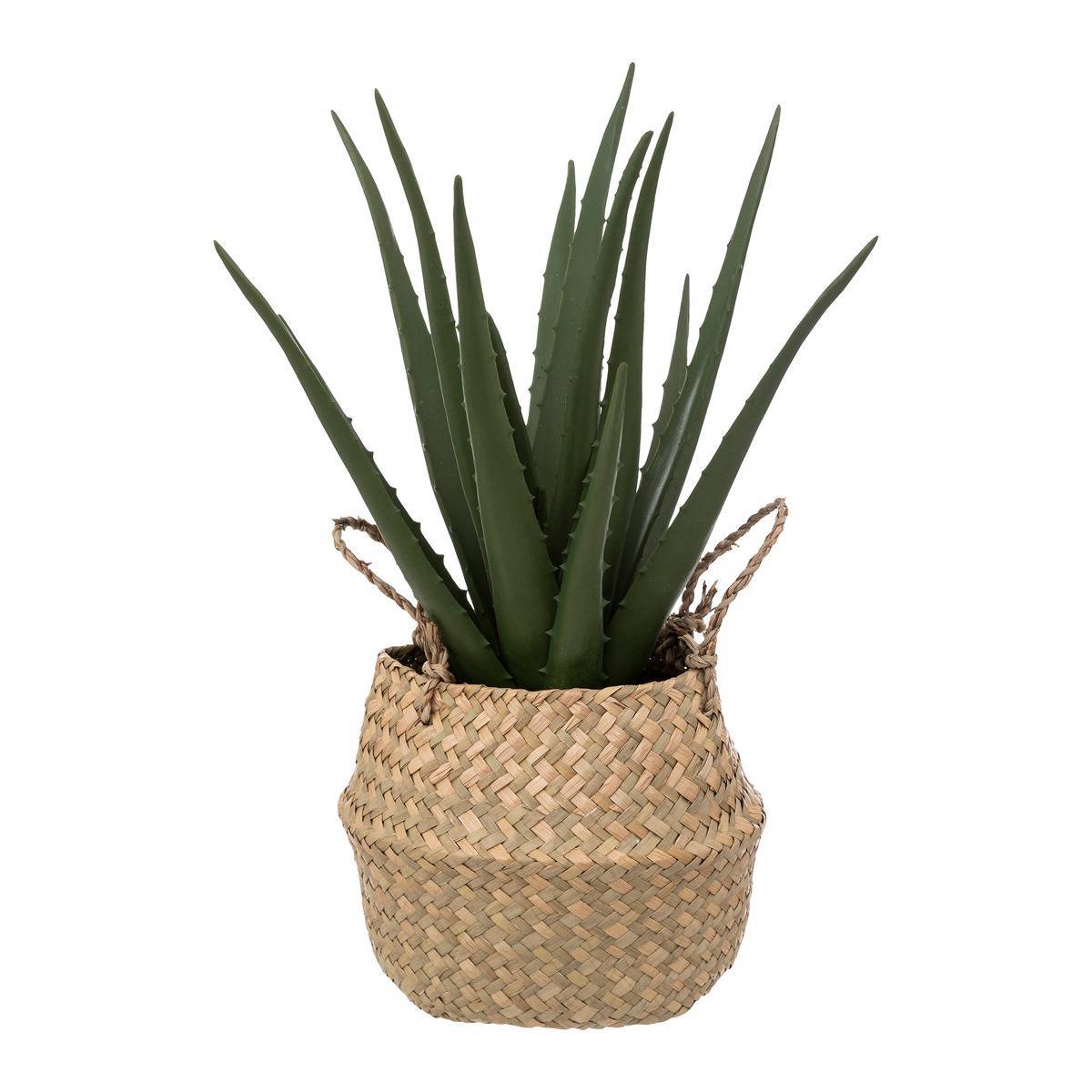 Atmosphera - Aloe vera artificiel pot roseau H40cm - Atmosphera Créateur d'intérieur