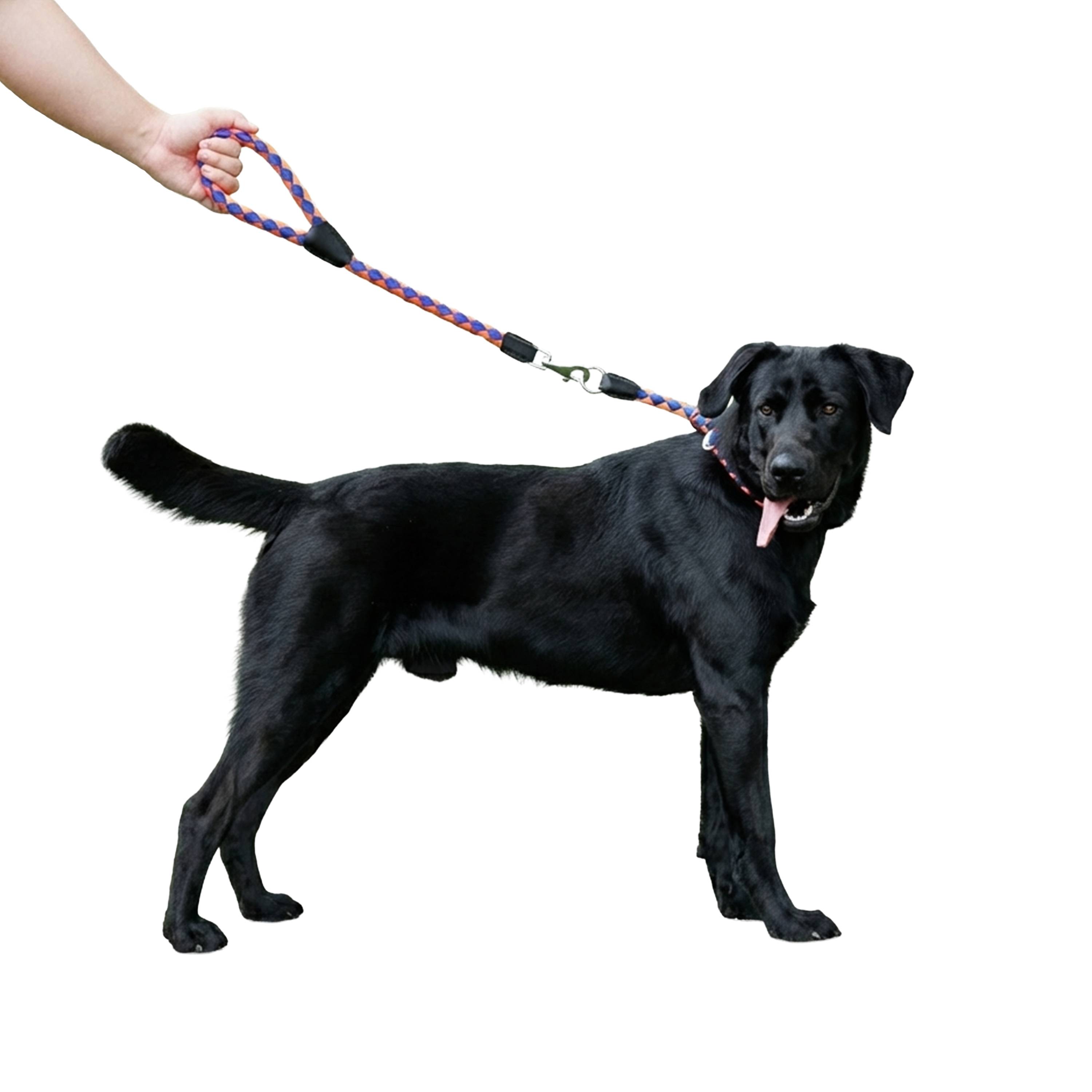 Ferplast - Laisse Courte pour Chiens en Nylon tressé TWIST MATIC GM18/60, avec Mousqueton Magnétique Automatique - Imagen 4