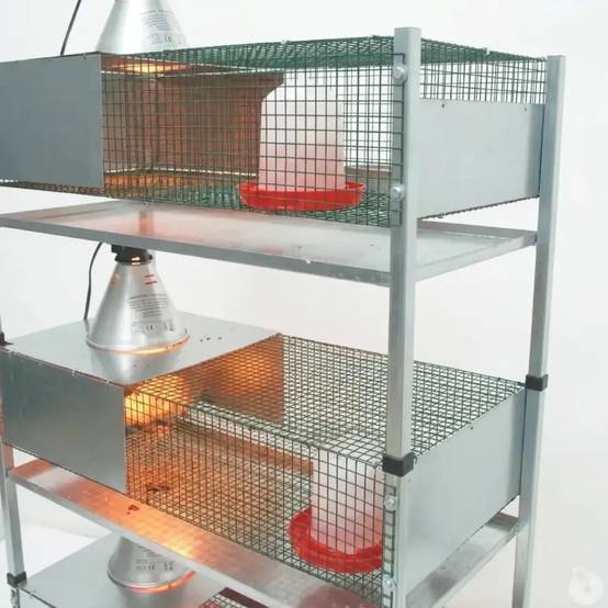 Kit complet 3 cages éleveuses poussins ou cailles - Image 5