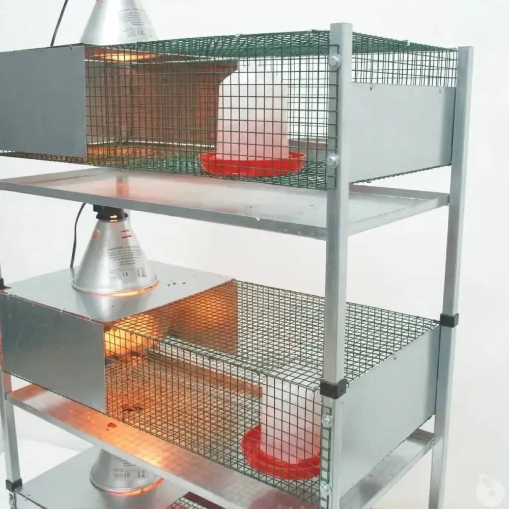 Kit complet 3 cages éleveuses poussins ou cailles - Image 5