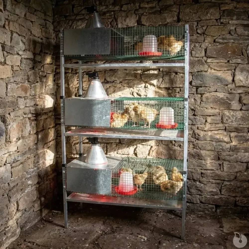 Kit complet 3 cages éleveuses poussins ou cailles - Image 4