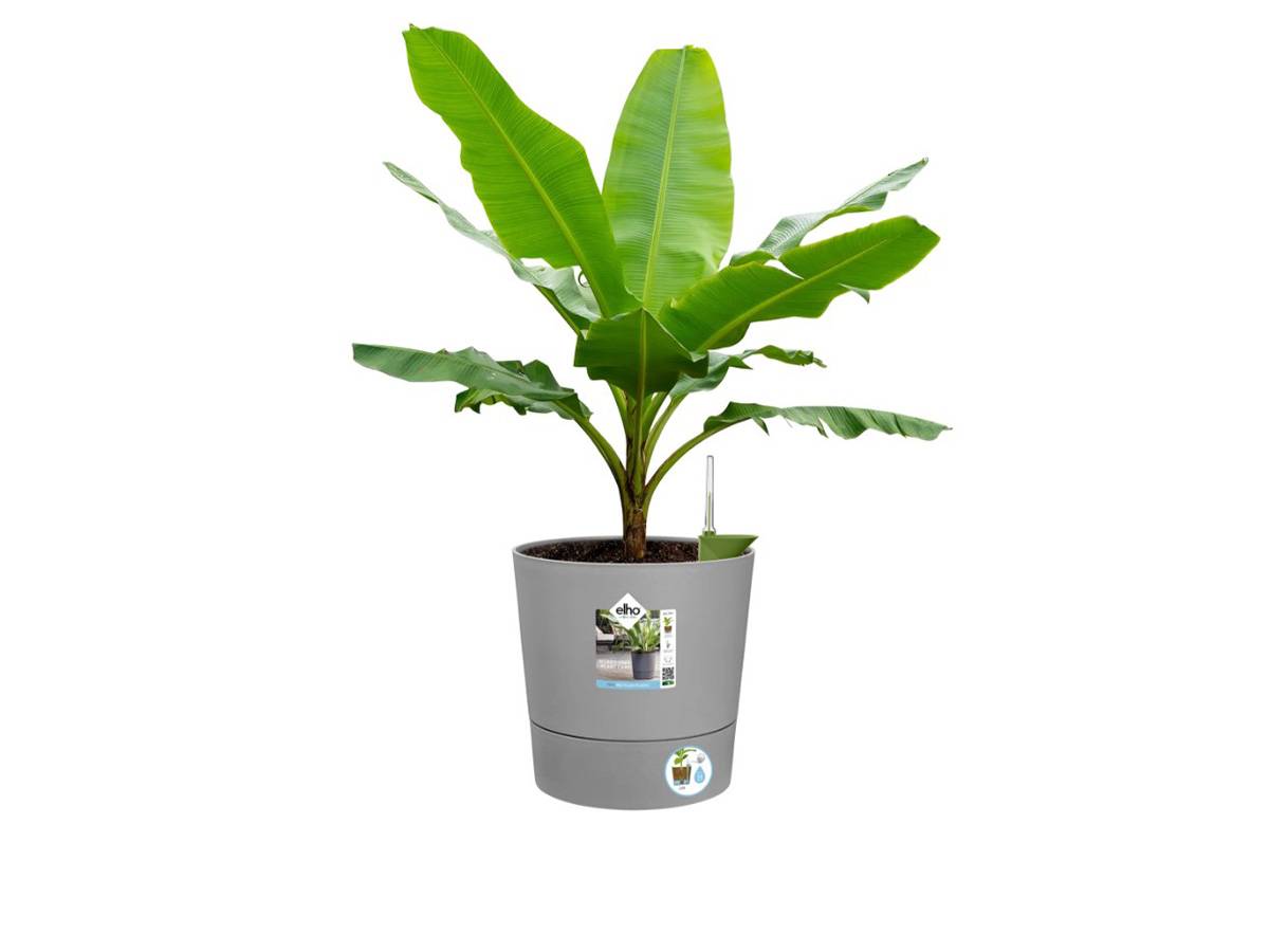 Elho - Elho - Pot De Fleurs - Greensense Aqua Care Rond 43 - Ciment Clair - Intérieur/extérieur - ø 43 X H 42.5 Cm - Imagen 7