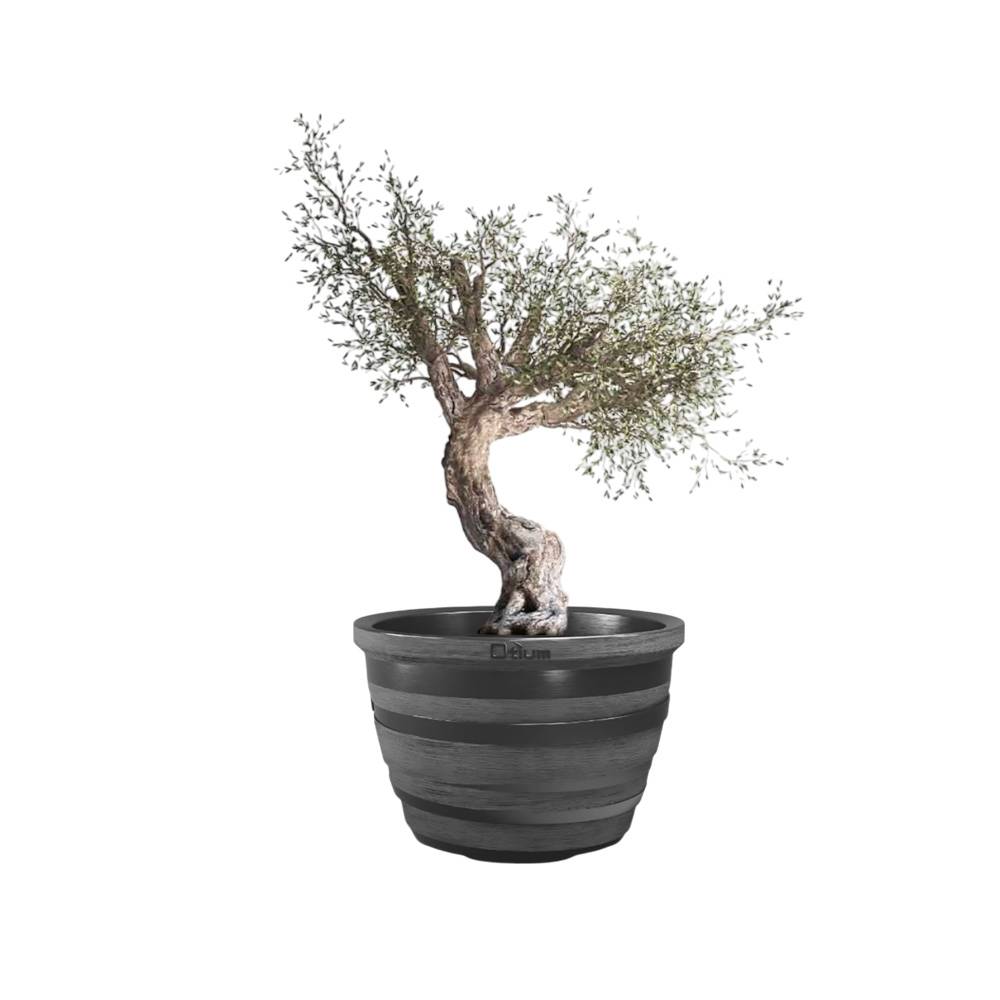 Pot de fleurs lignum 55 - Imagen 2