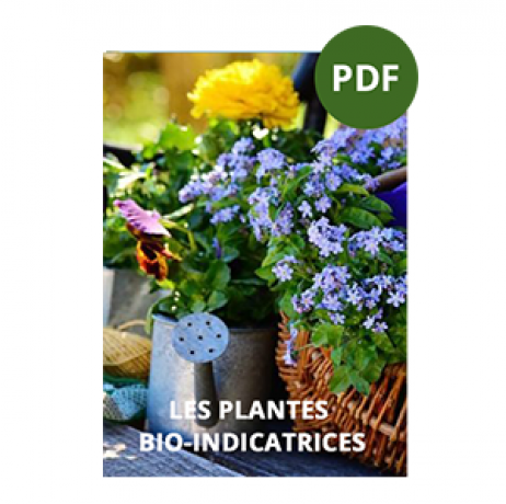 Livre "Le secret d'un sol fertile" - Image 6