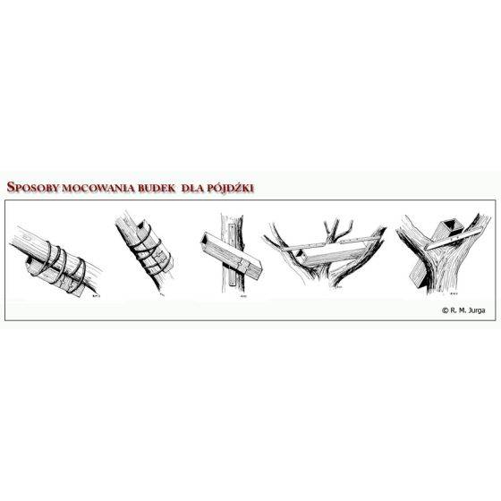 MKW - Nichoir Chevêche d'Athéna - Imagen 5