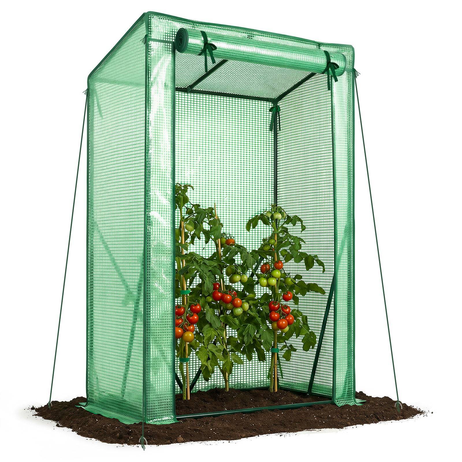 Serre de jardin Serre tomates avec grande porte enroulable bache PE renforcee 135g/m2 100x50x150cm Vert - Image 1