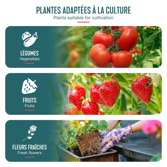 Serre de jardin Serre tomates avec grande porte enroulable bache PE renforcee 135g/m2 100x50x150cm Vert - Image 7