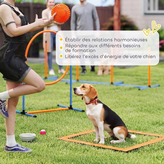 Kit d'agilité pour chien polyester et plastique orange et bleu 350 x 68 x 70 cm - PANGIVO - Image 9