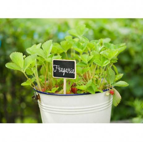 Étiquettes à planter en bois - Imagen 2