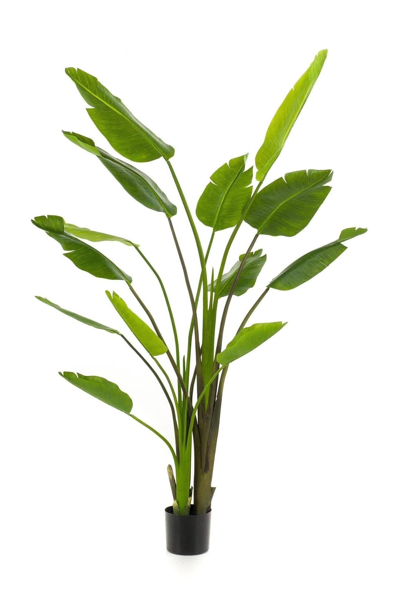 La Green Touch - Strelitzia Nicolai plante artificielle - h180cm, Ø17cm- La Green Touch - Imagen 5