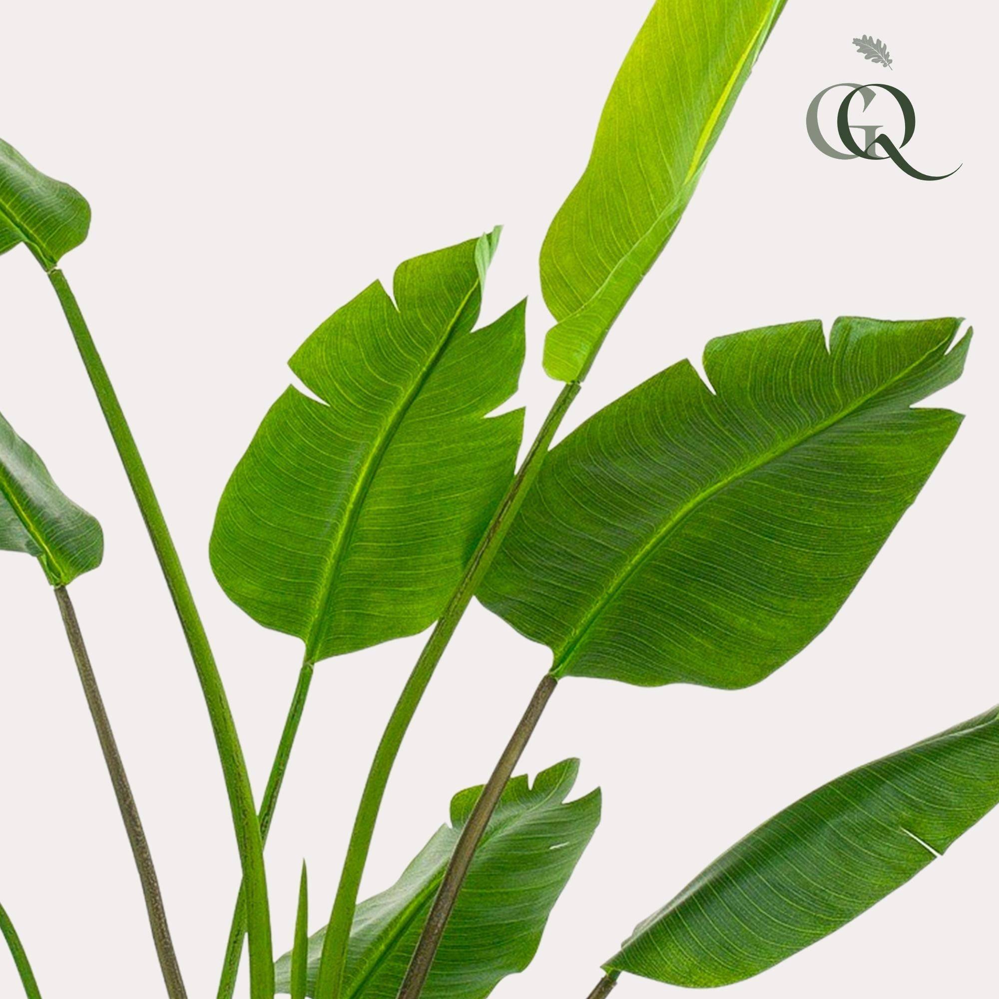La Green Touch - Strelitzia Nicolai plante artificielle - h180cm, Ø17cm- La Green Touch - Imagen 2