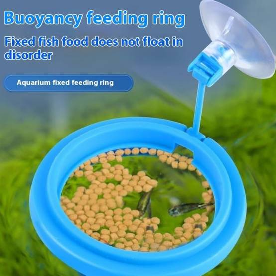 Anneau nourrisseur flottant anti-dispersion pour aquarium DtopbuyAge - Image 3