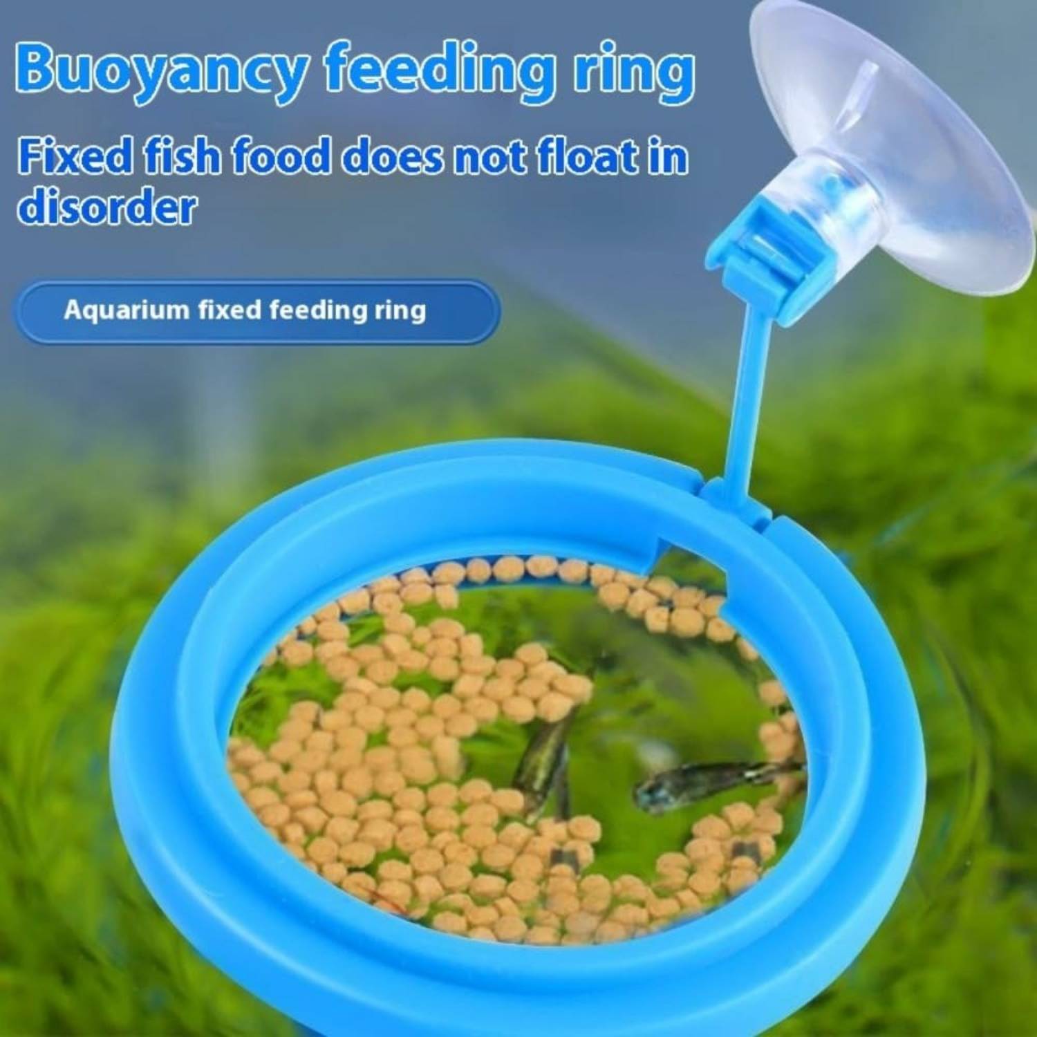 Anneau nourrisseur flottant anti-dispersion pour aquarium DtopbuyAge - Image 3