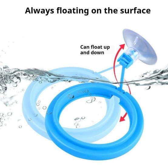 Anneau nourrisseur flottant anti-dispersion pour aquarium DtopbuyAge - Image 4