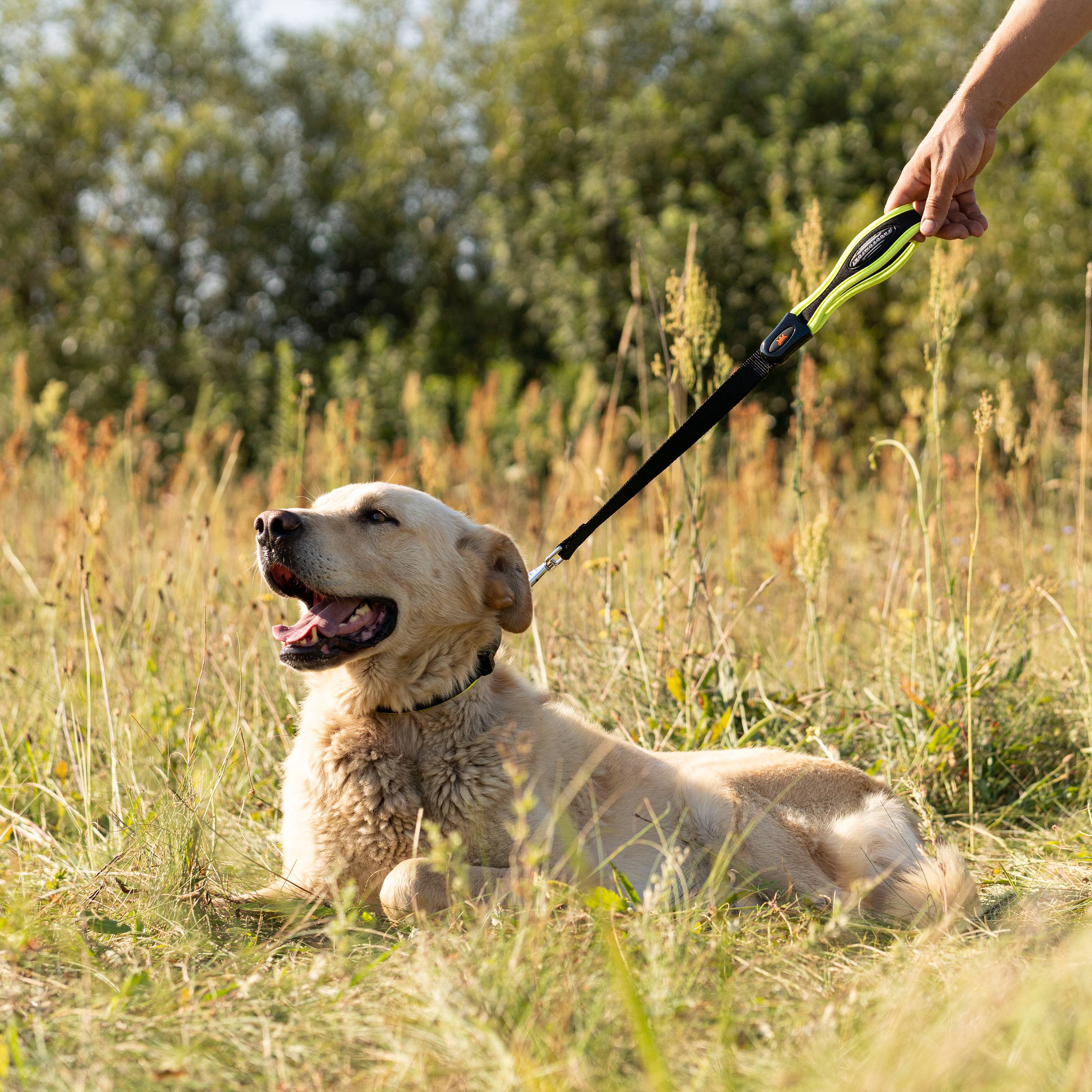 Ferplast - Ferplast Laisse courte ERGOFLUO, laisse pour chien de grande taille, poignée ergonomique rembourrée, in nylon. Longueur 55 cm x 2,5 cm, rose - Imagen 4