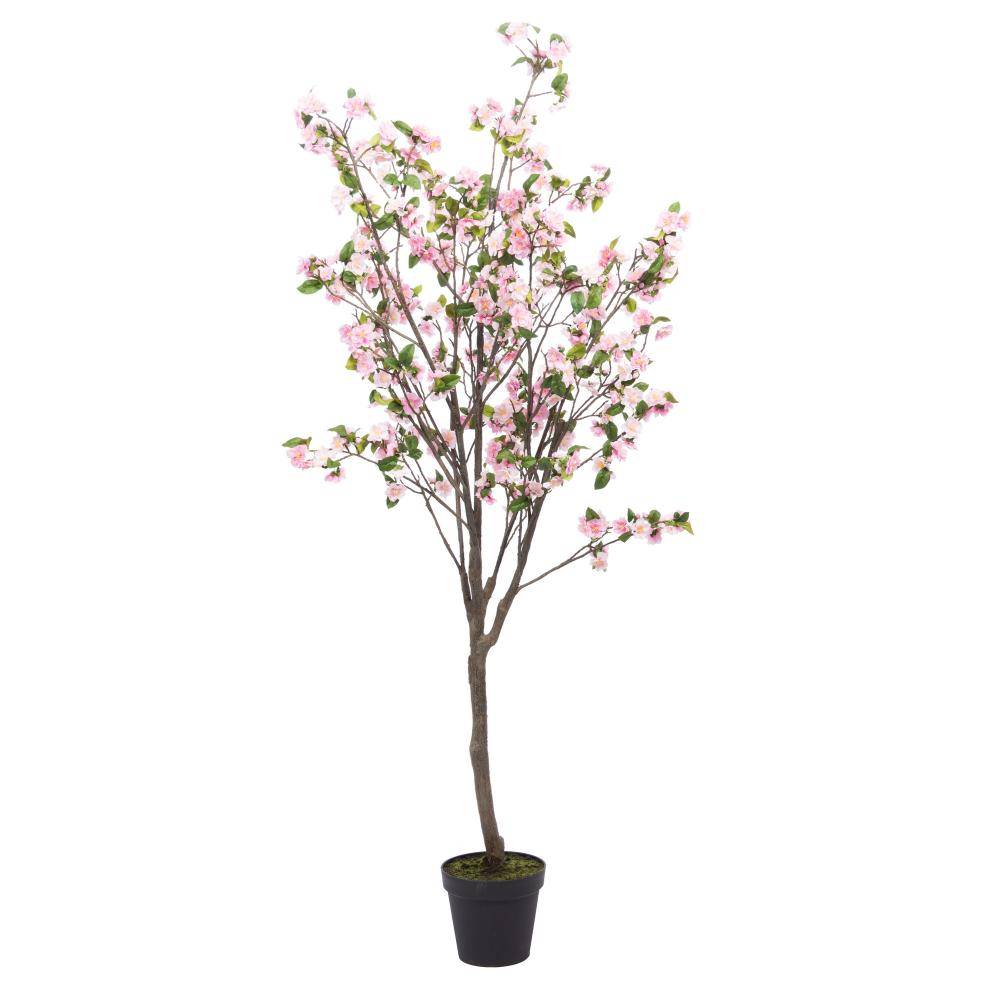 Cerisier Superba 200 cm rose - Image 1
