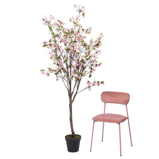 Cerisier Superba 200 cm rose - Image 2