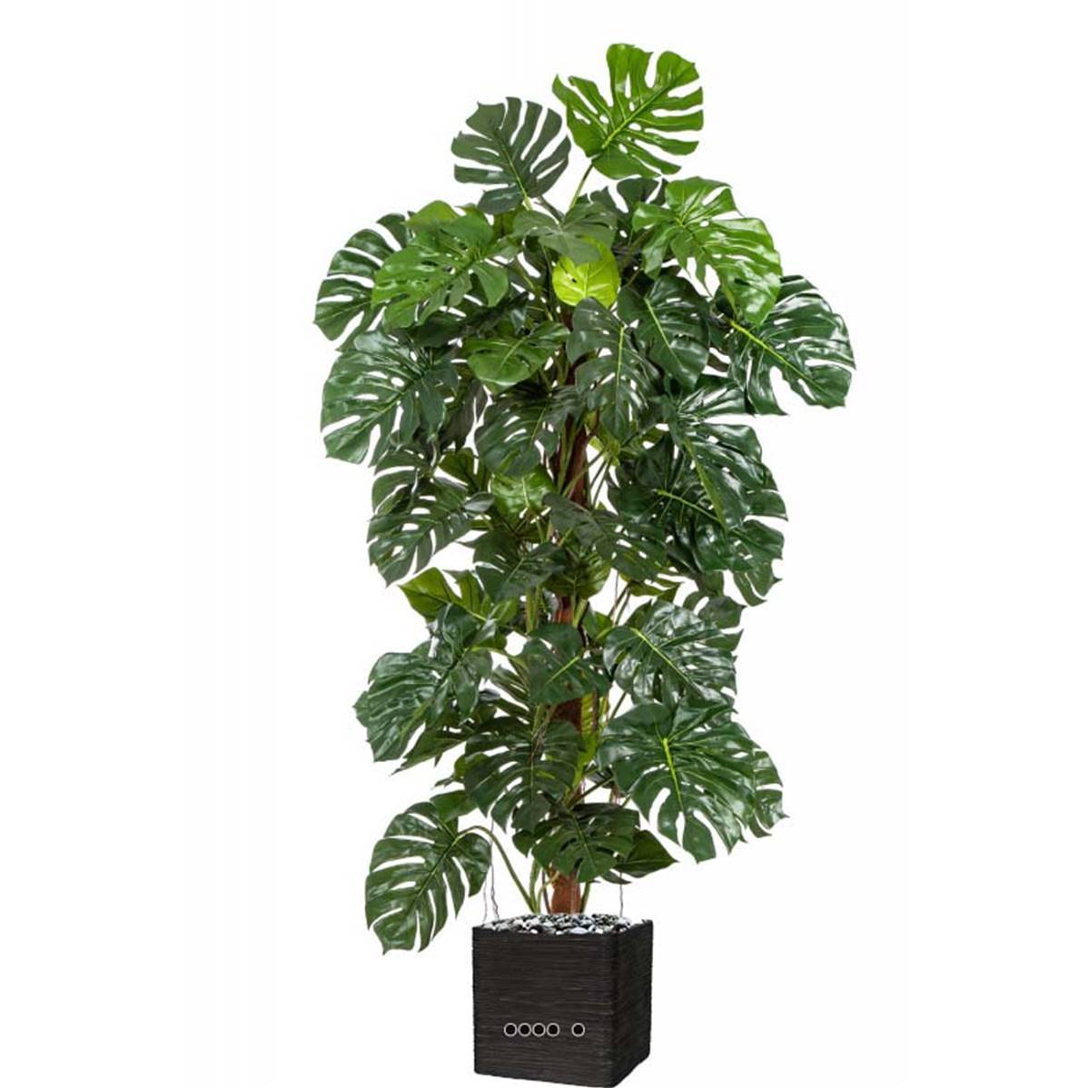Artificielles - Monstera artificiel sur pied, en pot, H 160 cm - dimhaut: H 160 cm - Imagen 4