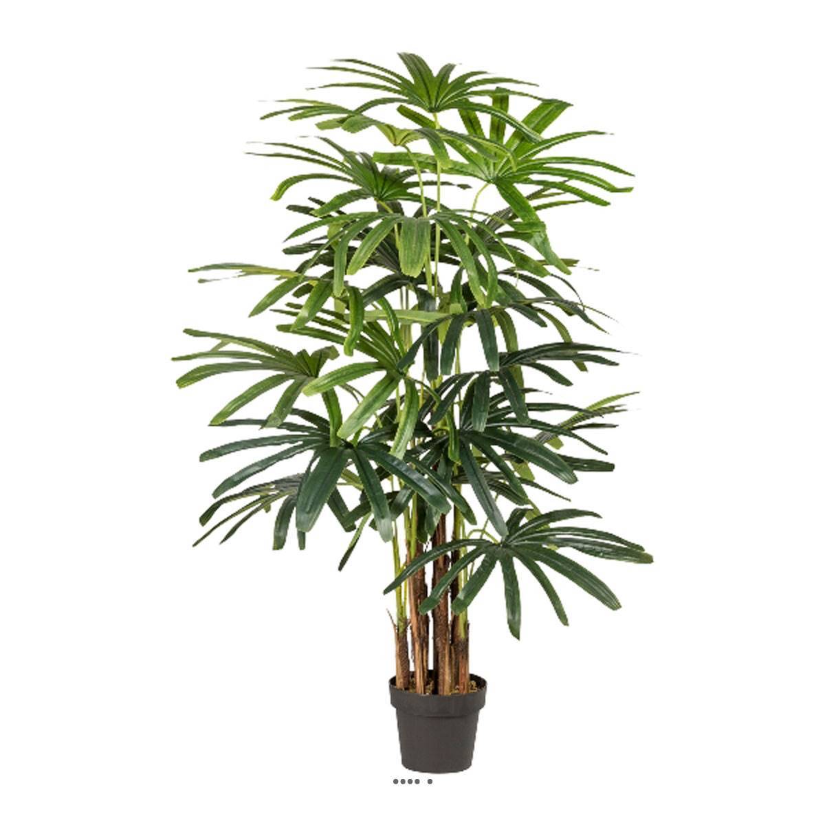 Artificielles - Palmier Raphis Artificiel en pot H 155 cm Vert - dimhaut: H 155 cm - couleur: Vert