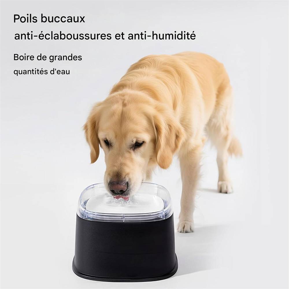 Bol à eau pour chien DtopbuyAge - Image 5