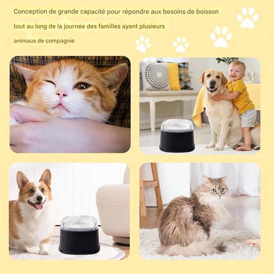 Bol à eau pour chien DtopbuyAge - Image 4