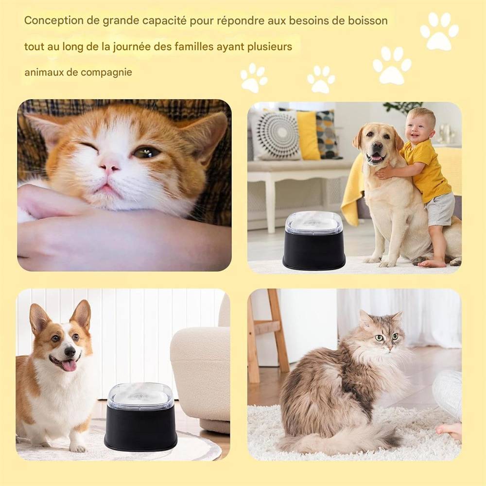 Bol à eau pour chien DtopbuyAge - Image 4